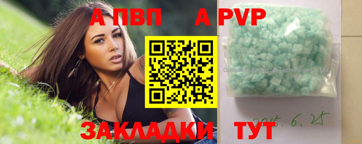 Alfa_PVP СК КРИС Барнаул