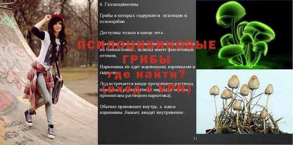 2c-b Нязепетровск