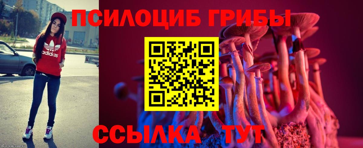 Лсд 25 Барнаул